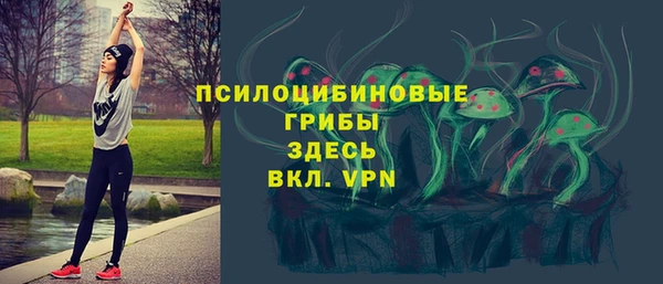 прущая мука Протвино