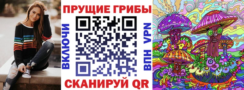 Галлюциногенные грибы Cubensis  Холм 